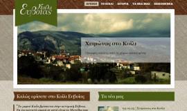 Σχεδιασμός και Κατασκευή Ιστοσελίδας – Koili.gr