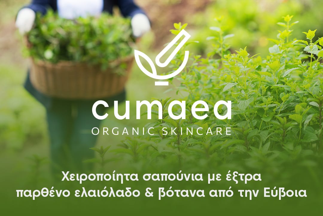 cumaea-newsletter
