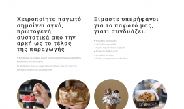 Κατασκευή ιστοσελίδων - greche-website-2