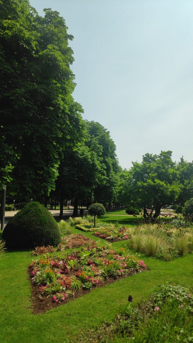 WordCamp Europe 2026 (Takis) (28)